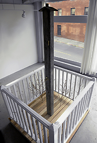 the New American Dream Home